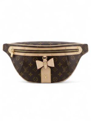 Louis Vuitton High Raise Bumbag + Brand Box , size 30*15