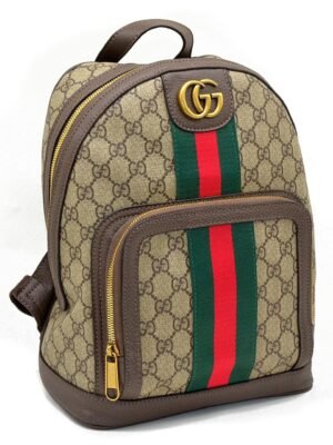 GUCCI Backpack + Dust Cover , size 30x23