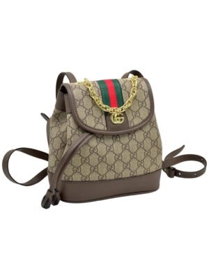 GUCCI Backpack + Brand Box , size 20x18