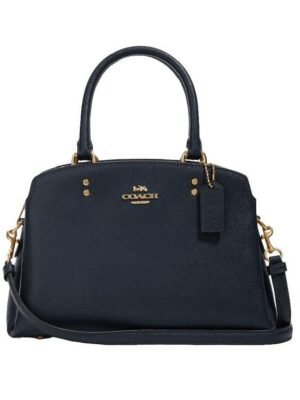 COACH Medium Zipper Bag  + Dust Cover , size  24x18