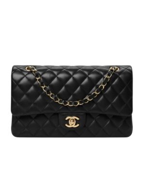 Chanel Timeless Classic Flap Bag , size 25*16
