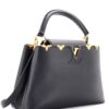 Louis Vuitton Taurillon Embellished Flower Crown Capucines PM Black + Brand Box , size 27*17 - Thumbnail Image 2