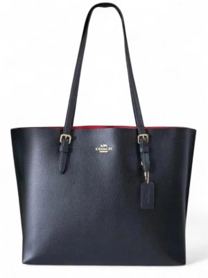 COACH Mollie Tote Bag , size 35*27