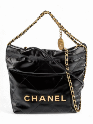 Chanel 22 Hobo + Brand Box , size 27*24