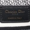 Christian Dior
Medium Embroidered Herbarium Lady D Lite + Brand Box , size 24*20 - Thumbnail Image 10