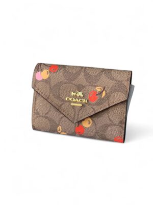 Coach wallet + Brand Box size 13*10
