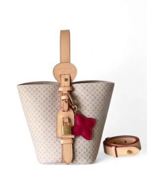 Louis Vuitton All In BB + Brand Box , size 20*18