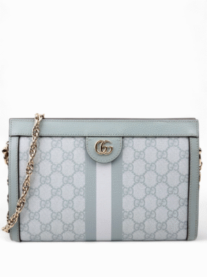 GUCCI Ophidia Supreme + Brand Box , Size 26*19