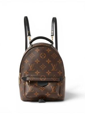 Louis Vuitton Palm Springs Mini backpack + Brand Box , size 17*18