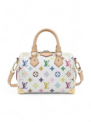 Louis Vuitton Speedy Trunk 20 + Dust cover , size 21*15