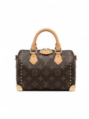 Louis Vuitton Speedy Trunk 20 + Dust cover , size 21*15
