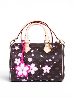 Louis Vuitton 
LV x TM Bolsa Speedy Bandouliere 25 + Brand Box , size 27*18